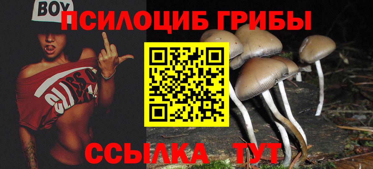 Галлюциногенные грибы MAGIC MUSHROOMS  Галлюциногенные грибы ЛСД  Вход с VPN  Бутурлиновка 