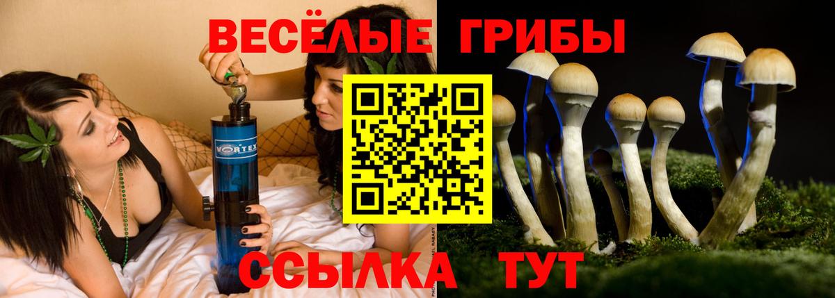 Галлюциногенные грибы Cubensis Бутурлиновка